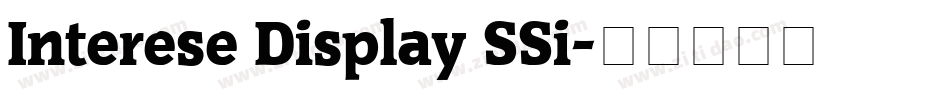 Interese Display SSi字体转换